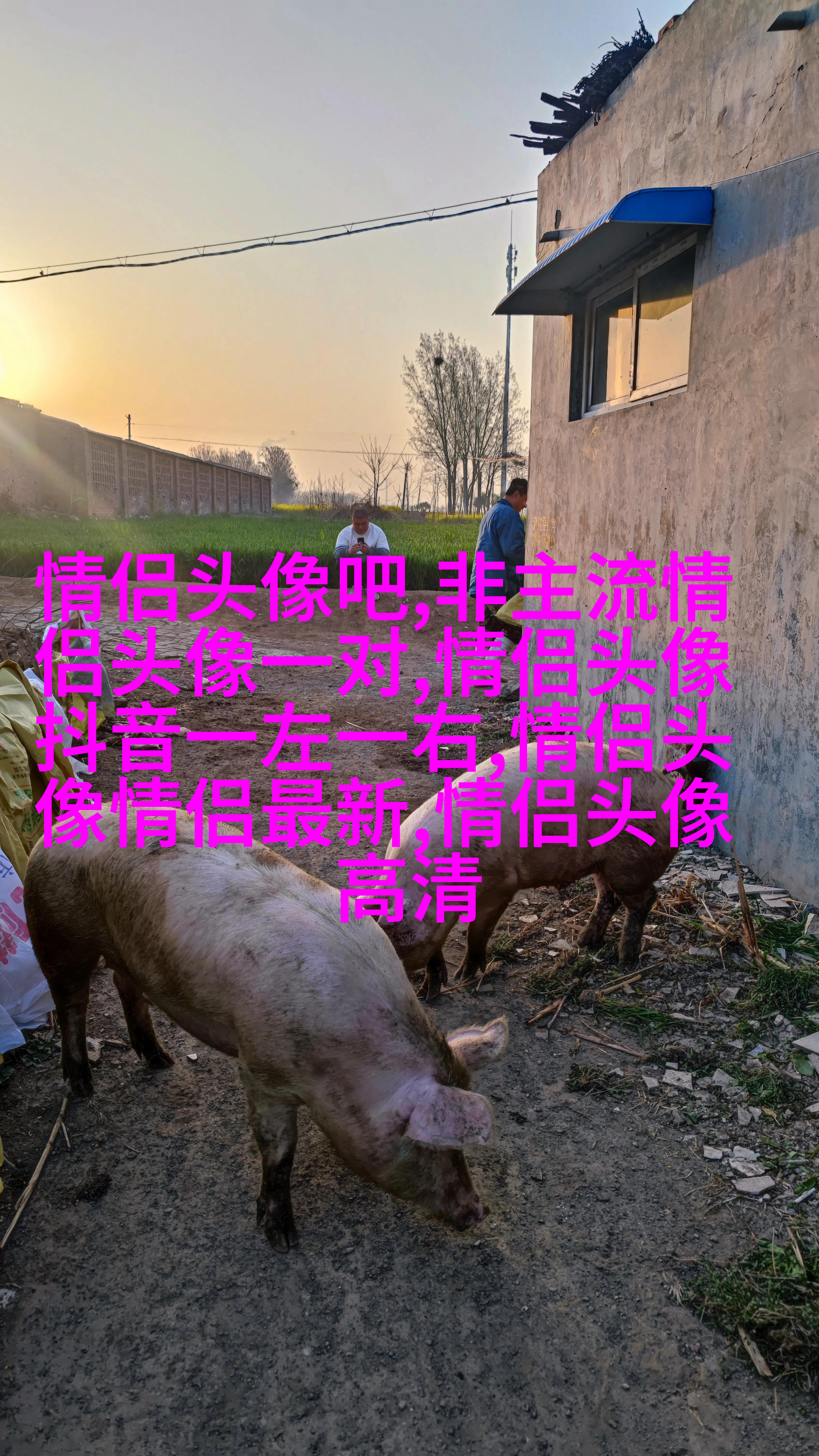 2023带来好运的微信头像简单(22张)