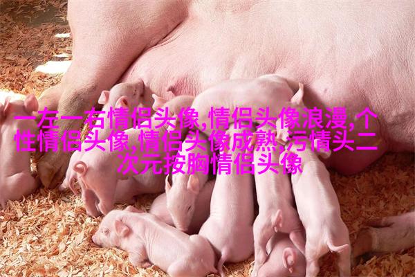 2023成熟男士专用微信头像(共12张)