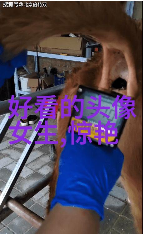 女生专用蜡笔小新头像(共18张)