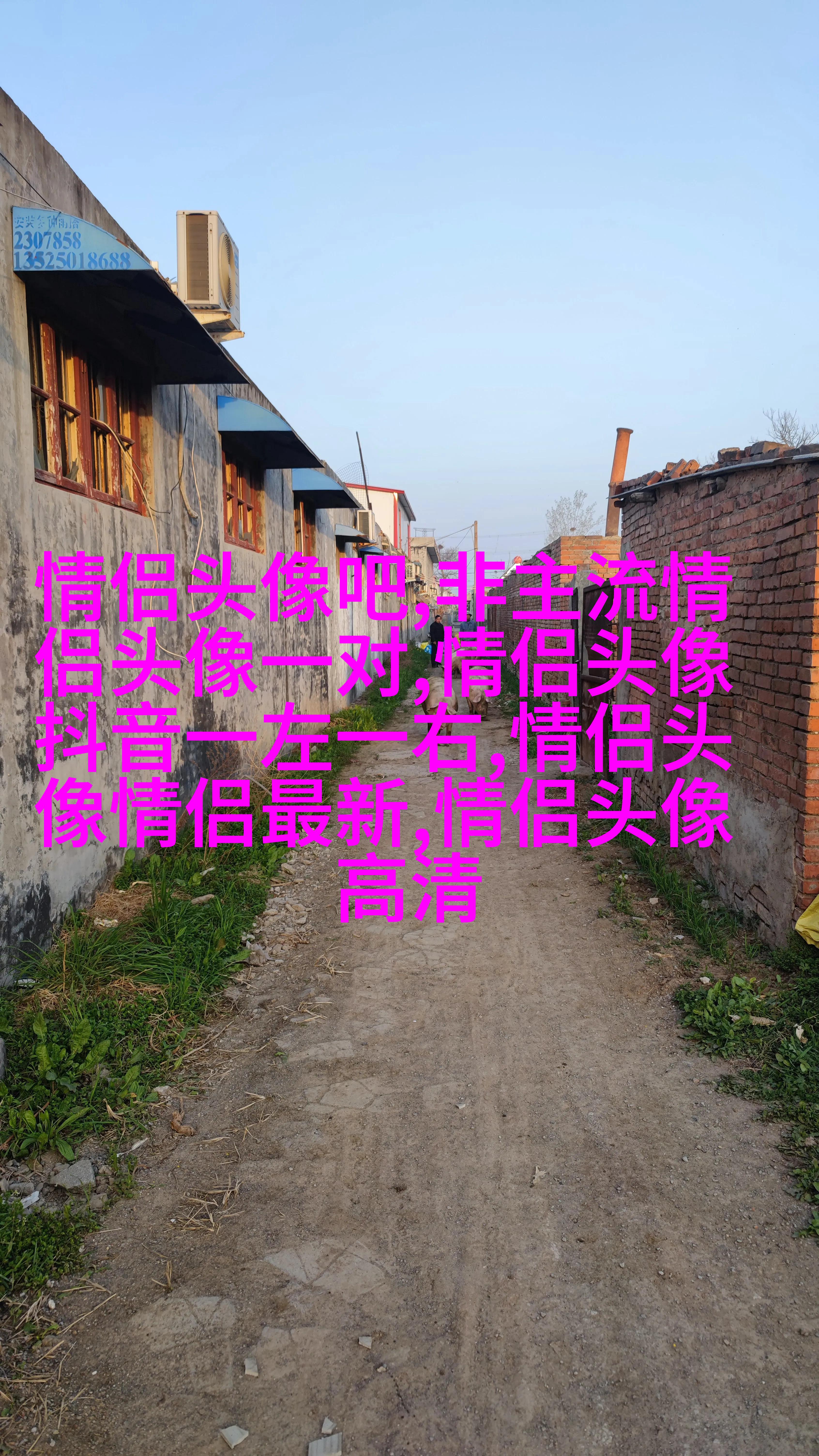 2023带来好运的微信头像简单(22张)
