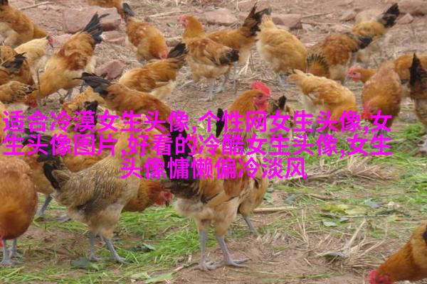 2023年最酷的女生动漫头像(优选22张)