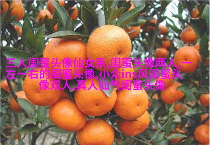 三个姐妹用的头像伤感无字