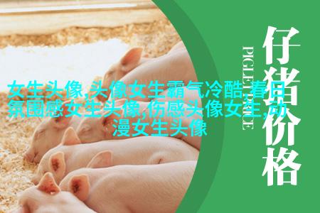 女生黑白简笔画头像(优选32张)