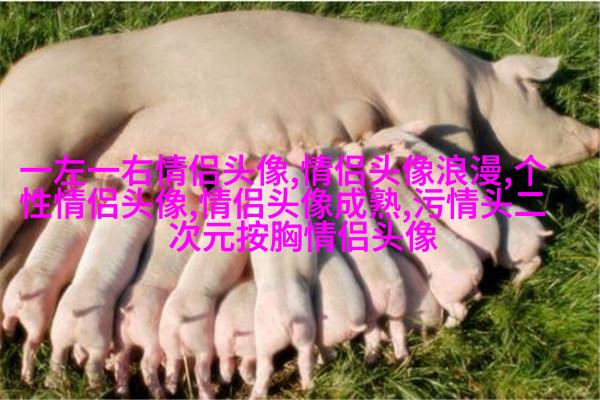 2023成熟男士专用微信头像(共12张)