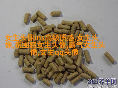 高级质感的女生头像(共24张)