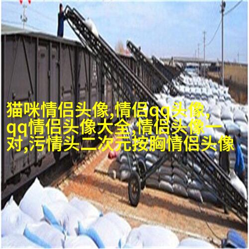 情人节怼情侣的头像(优选24张)