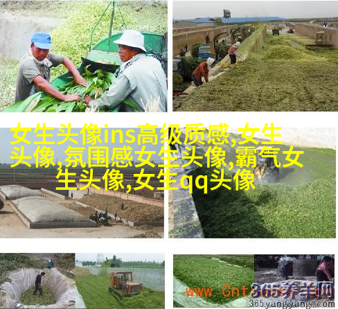 高级质感的女生头像(共24张)