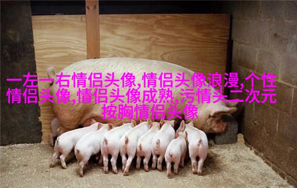 2023成熟男士专用微信头像(共12张)