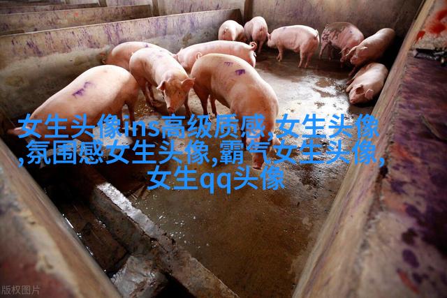 高级质感的女生头像(共24张)