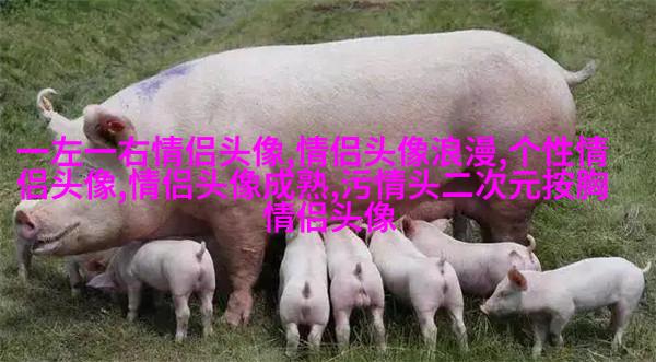 2023成熟男士专用微信头像(共12张)