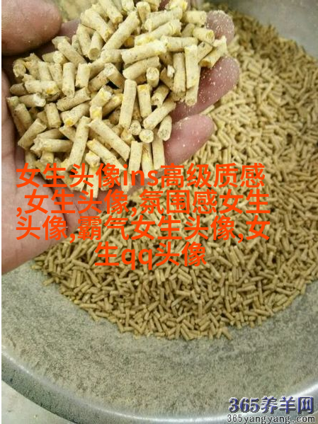 高级质感的女生头像(共24张)