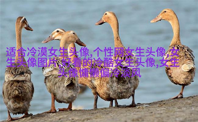 2023年最酷的女生动漫头像(优选22张)