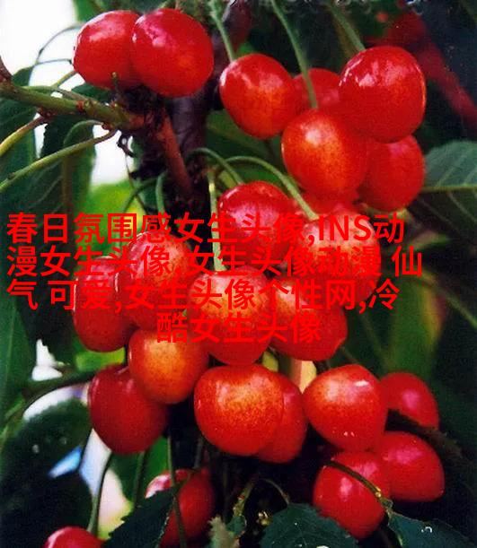 慵懒风颓废女生头像(共24张)