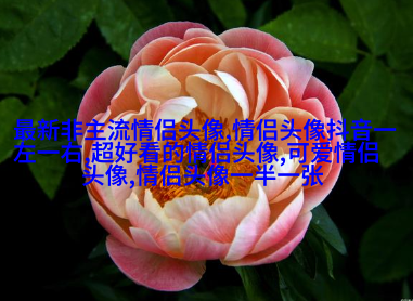 情侣头像酷酷帅帅拽的一人一张(22张)