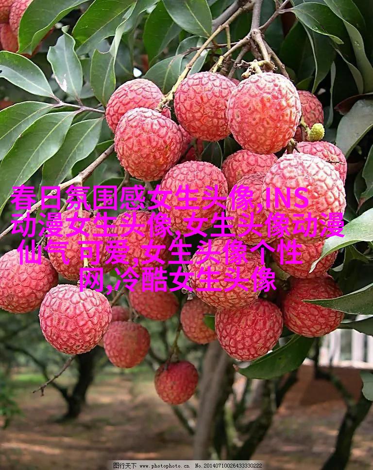 慵懒风颓废女生头像(共24张)